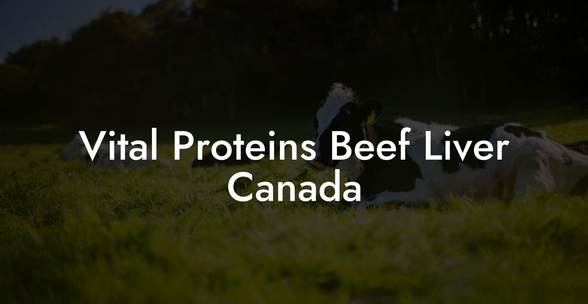 Vital Proteins Beef Liver Canada