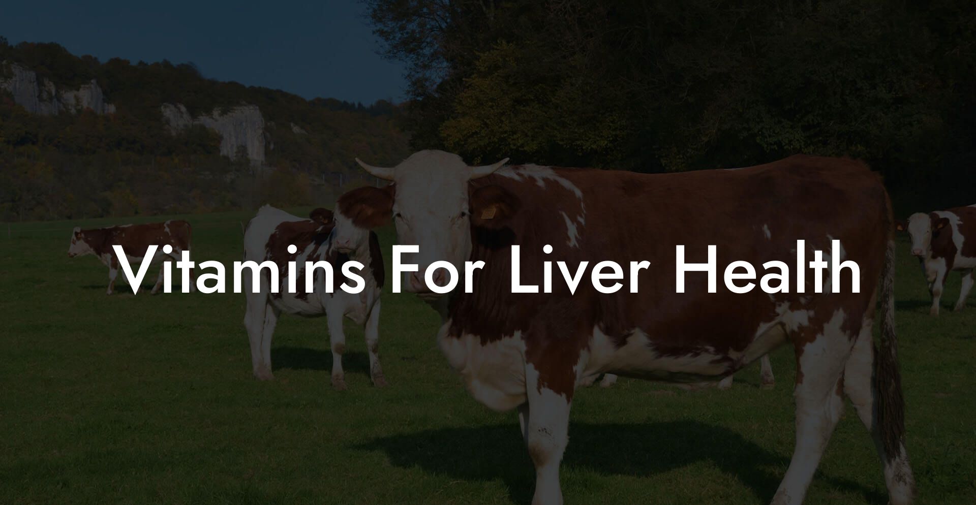 Vitamins For Liver Health