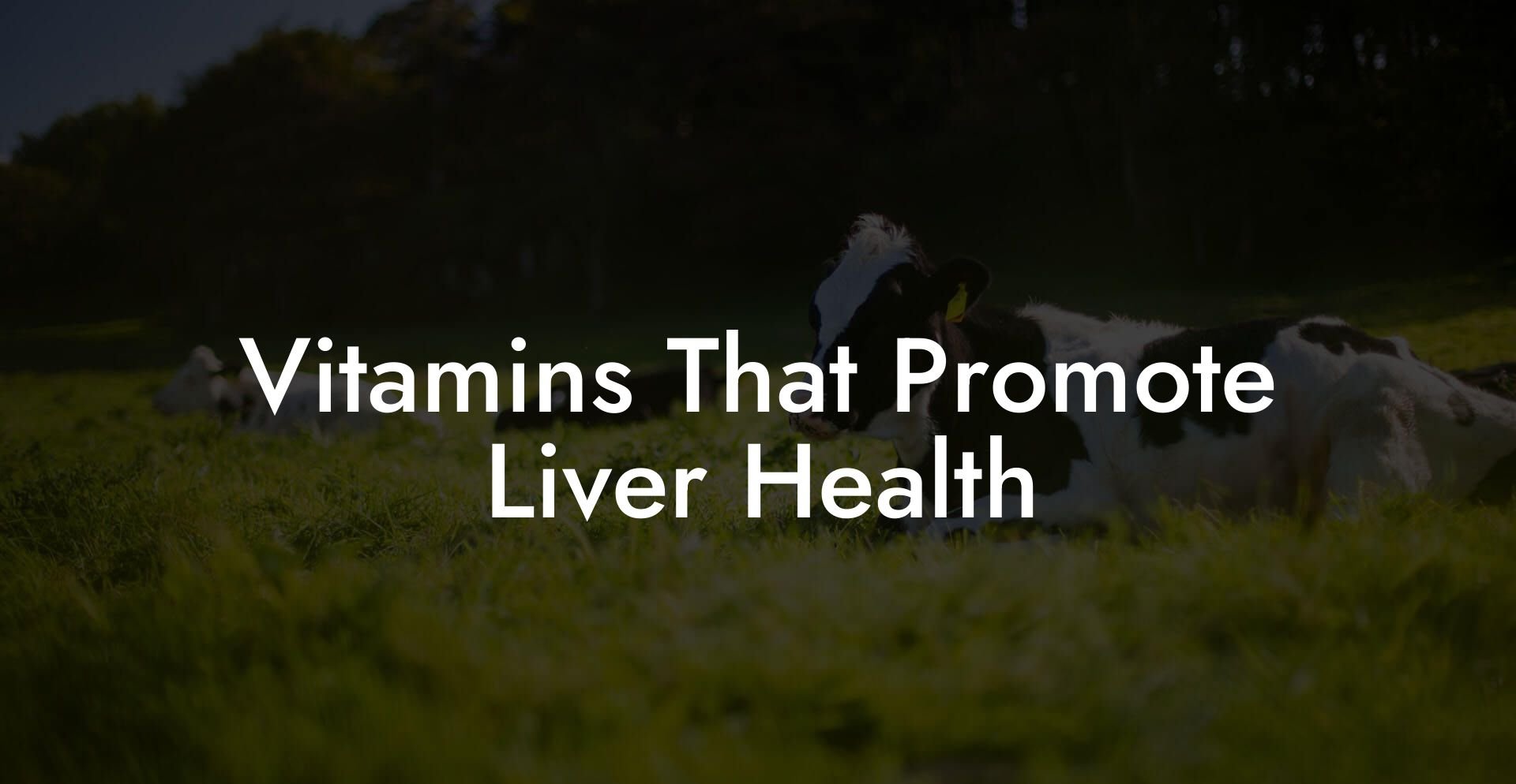 Vitamins That Promote Liver Health