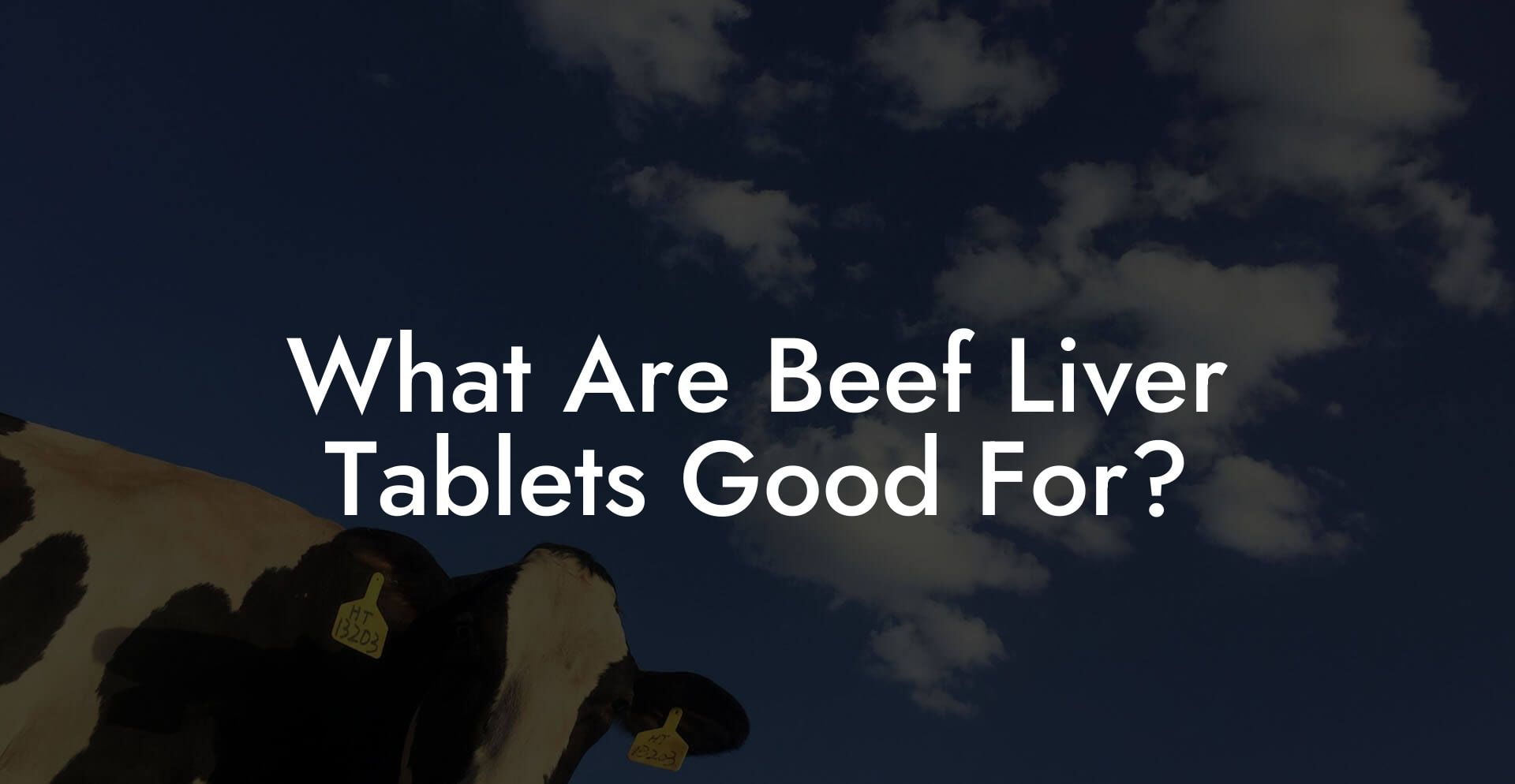 What Are Beef Liver Tablets Good For?