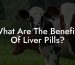 What Are The Benefits Of Liver Pills?