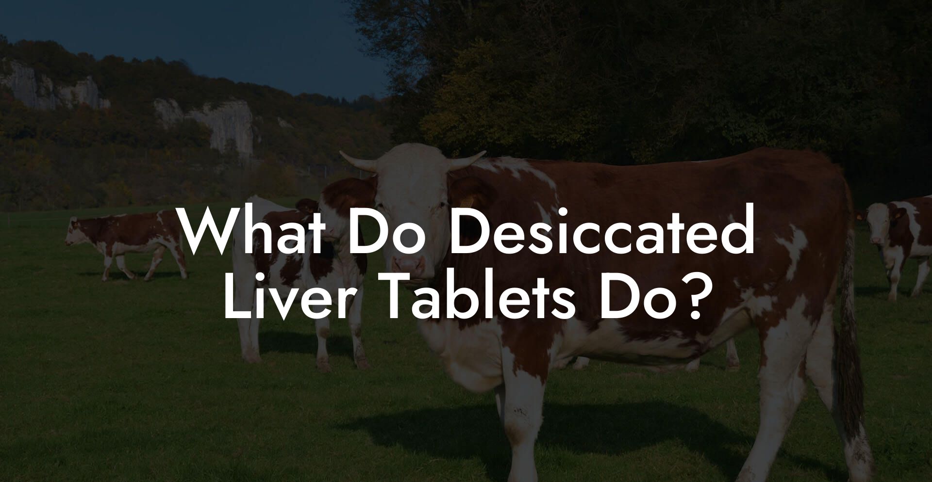What Do Desiccated Liver Tablets Do?