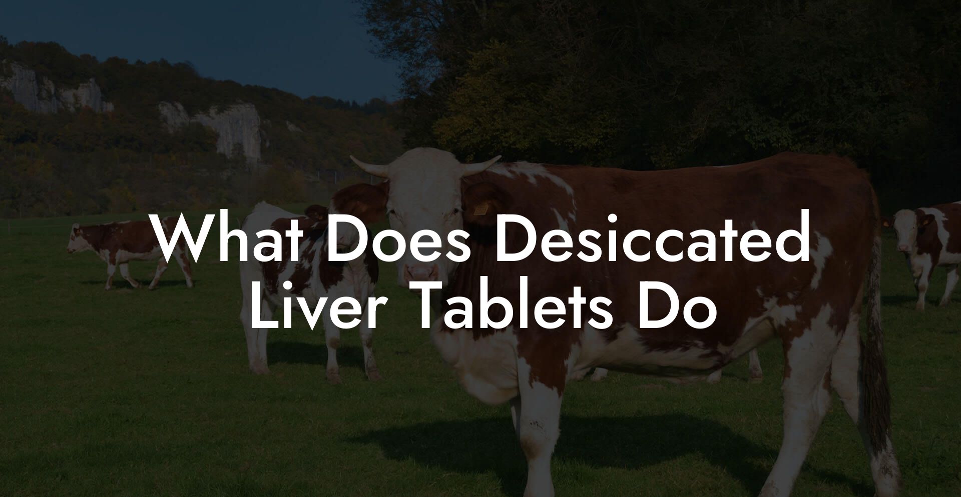 What Does Desiccated Liver Tablets Do