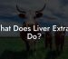 What Does Liver Extract Do?