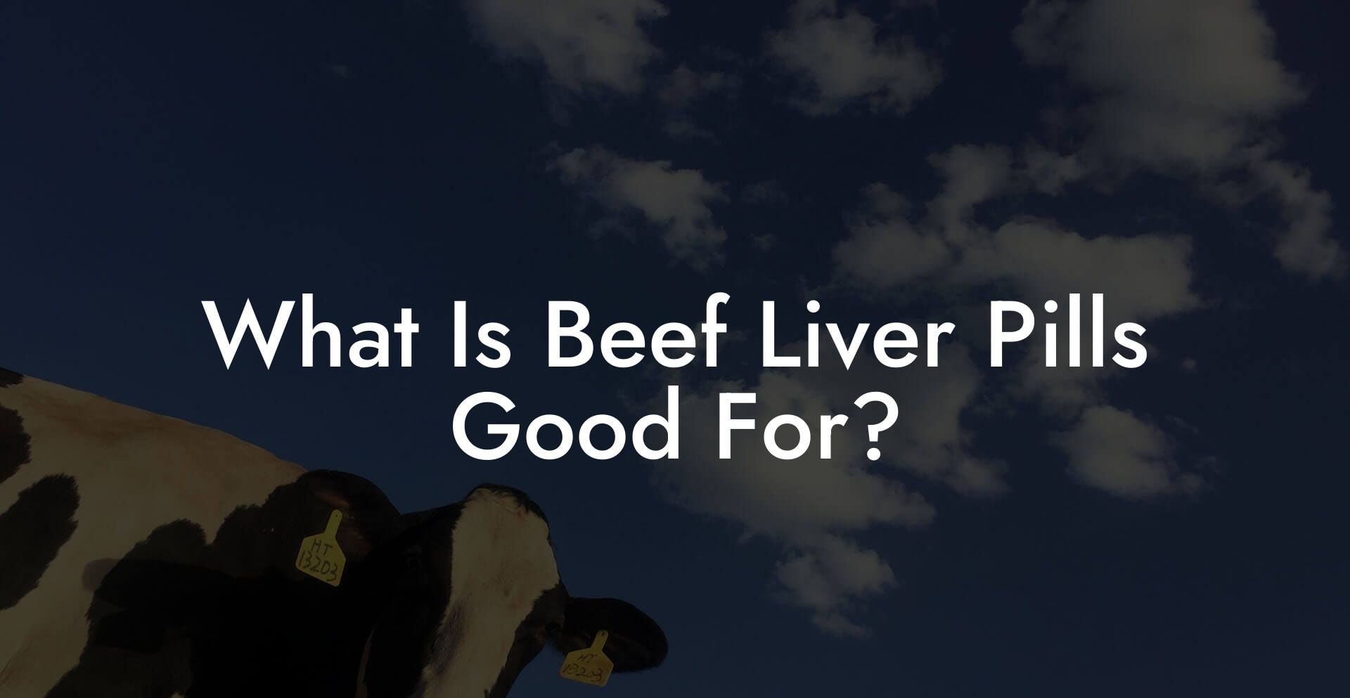 What Is Beef Liver Pills Good For?