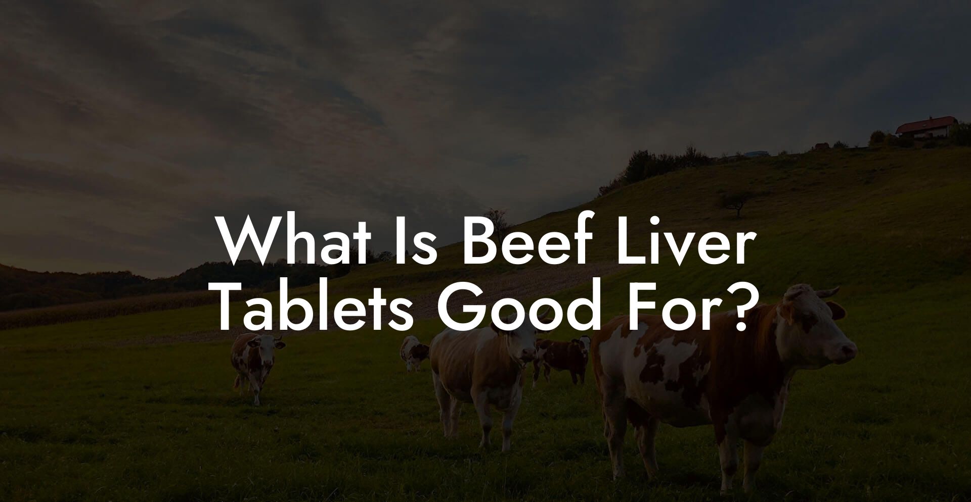 What Is Beef Liver Tablets Good For?