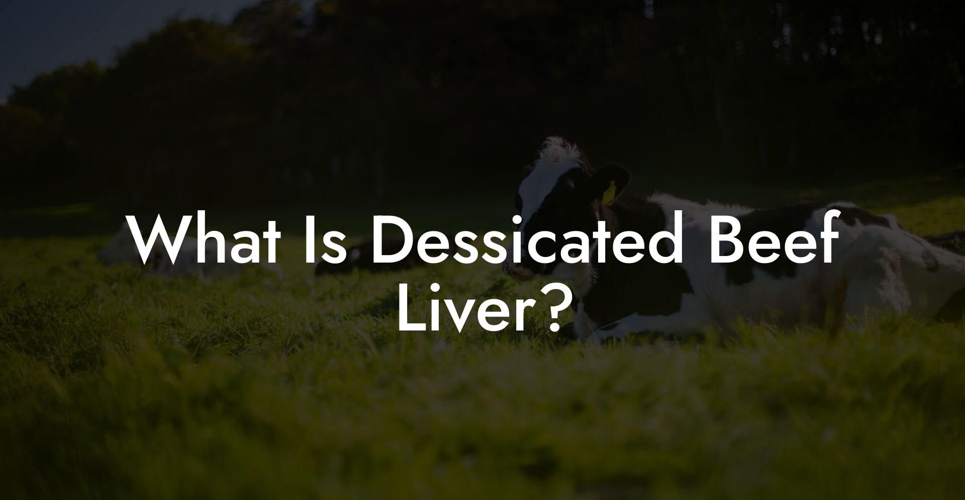 What Is Dessicated Beef Liver?