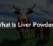 What Is Liver Powder?