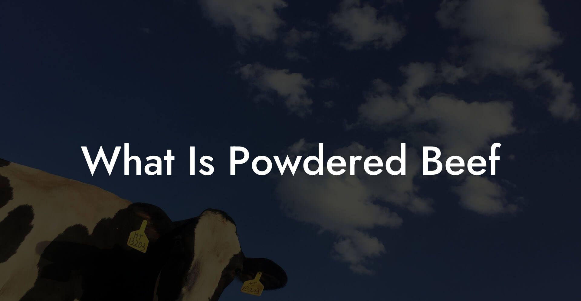 What Is Powdered Beef