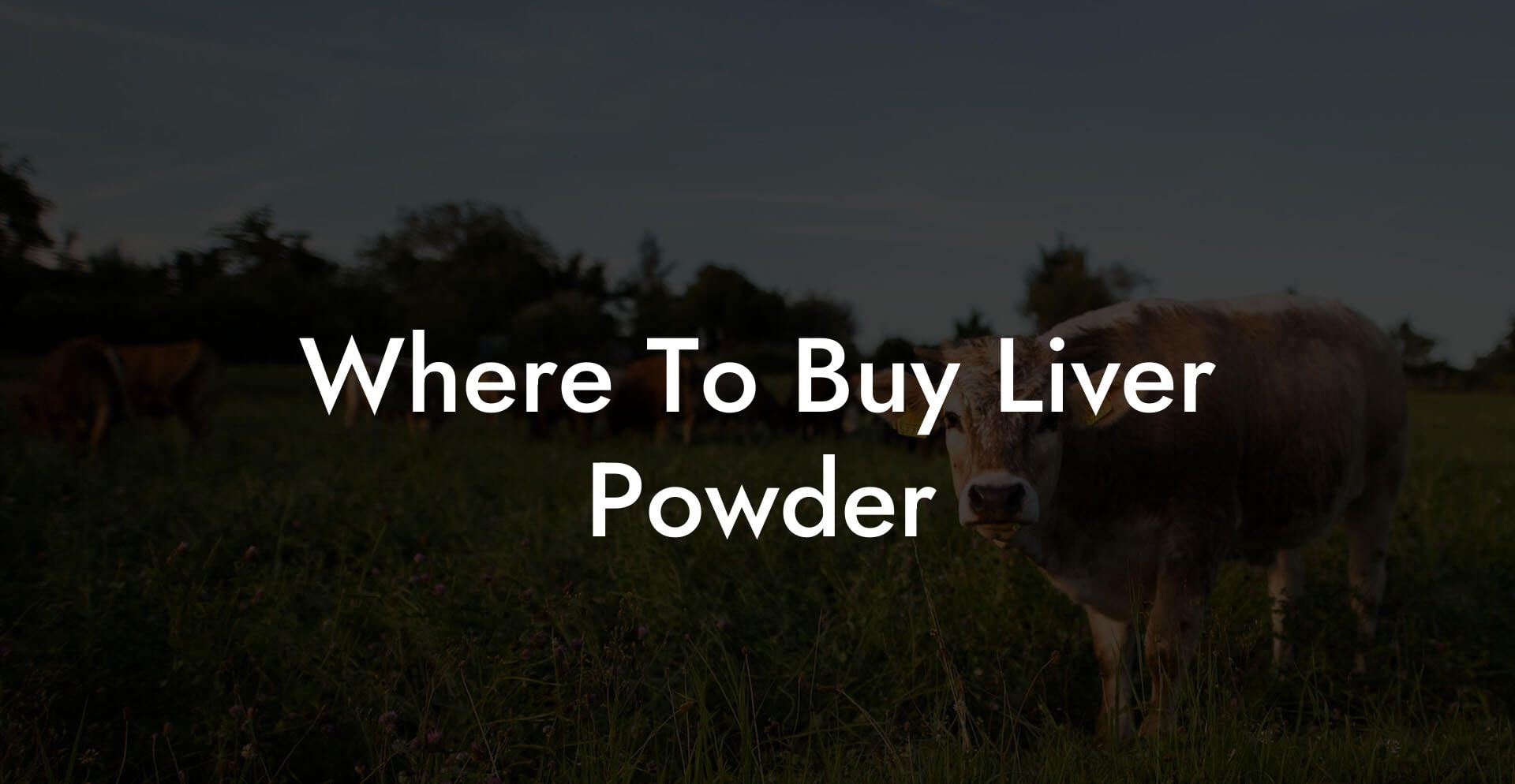 Where To Buy Liver Powder
