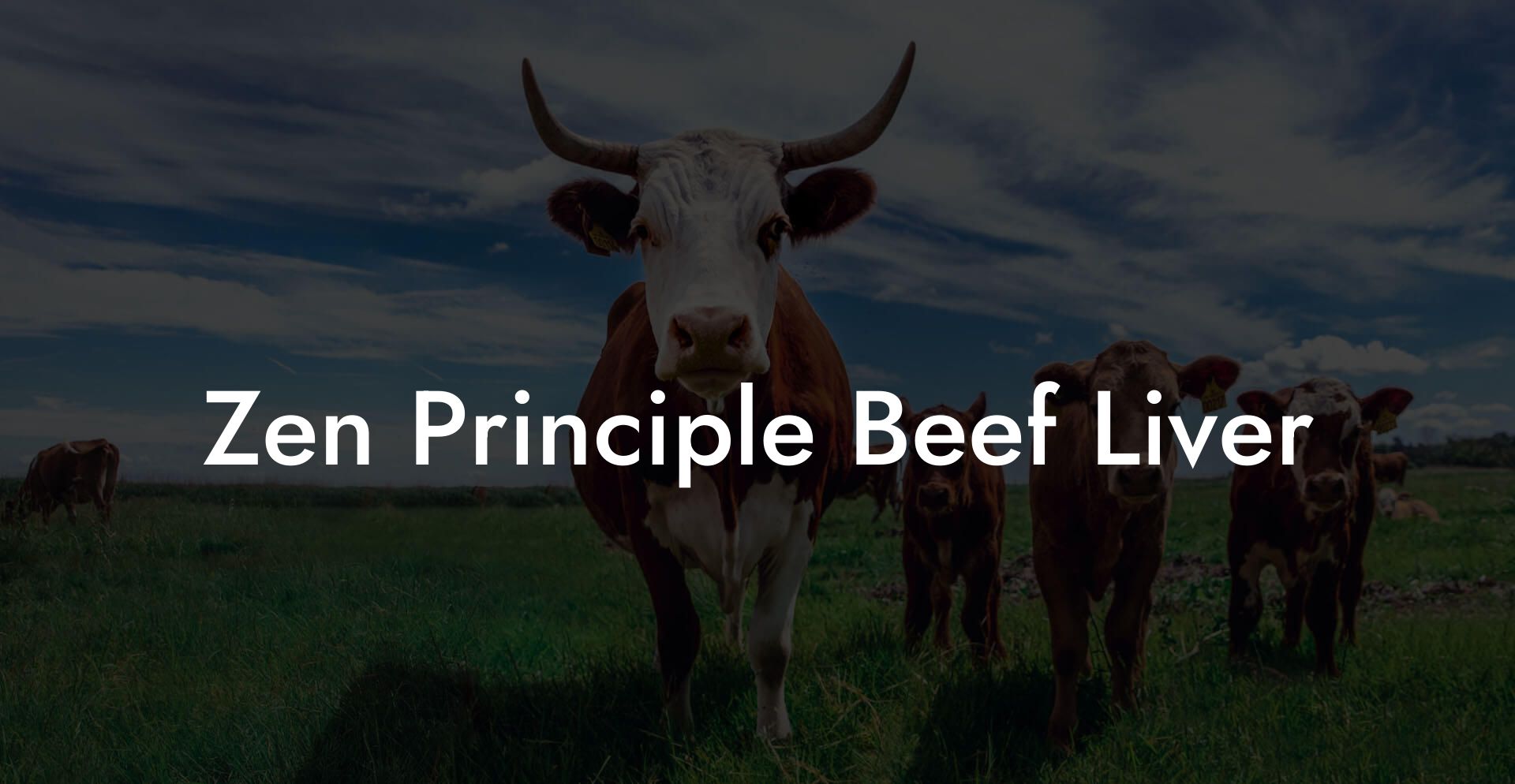 Zen Principle Beef Liver